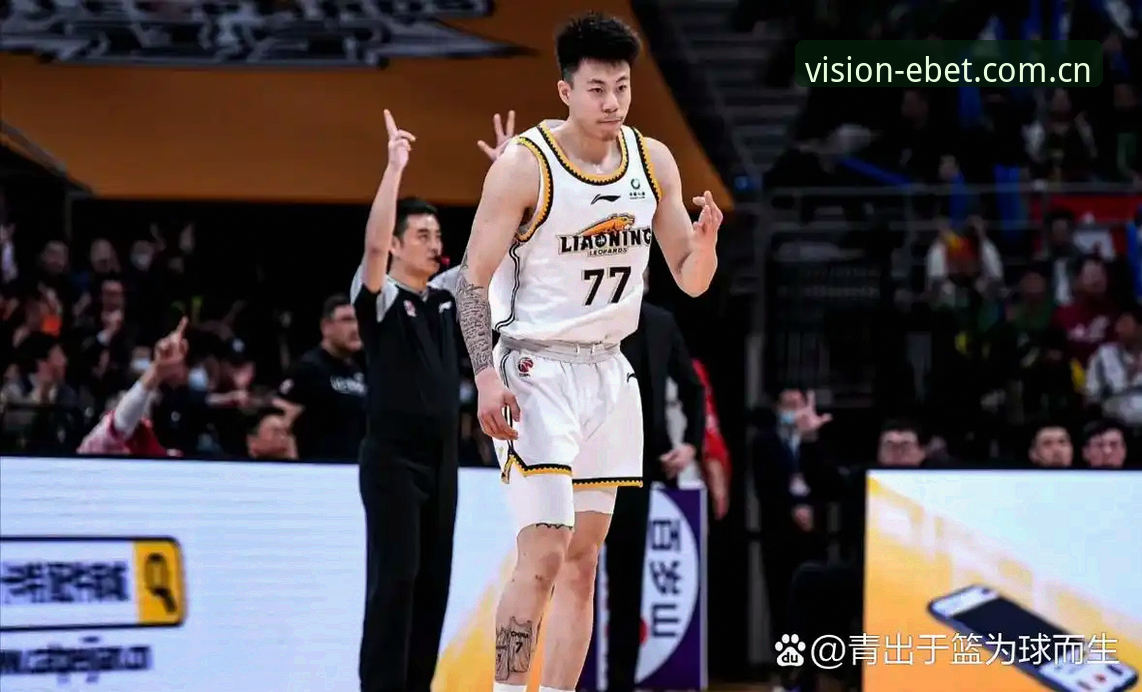 揭秘篮球数据背后的真相：打开另一种视野篮球数据的实战攻略